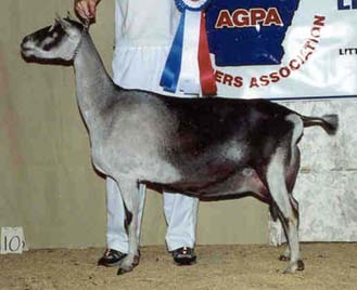 {AR State Fair '00}